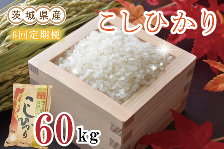 EN-8　茨城県産コシヒカリ計60kg（10kg×6回）（令和5年産）※離島への配送不可