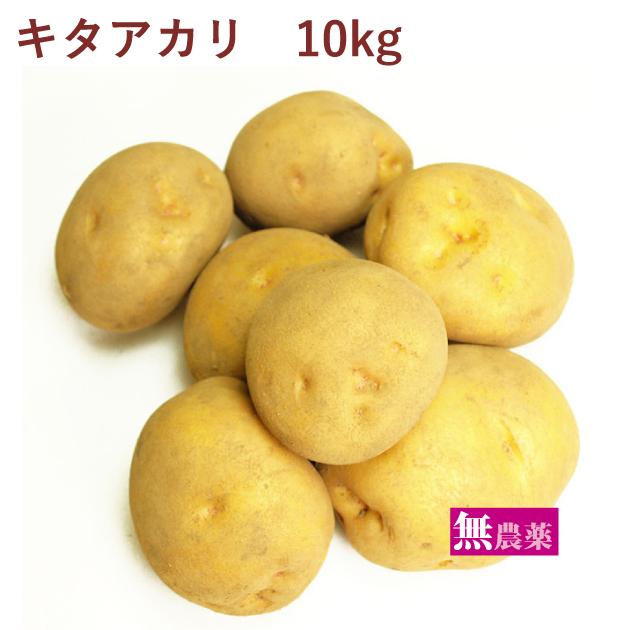 じゃがいも ジャガイモ　キタアカリ　10kg前後　無農薬栽培　送料込