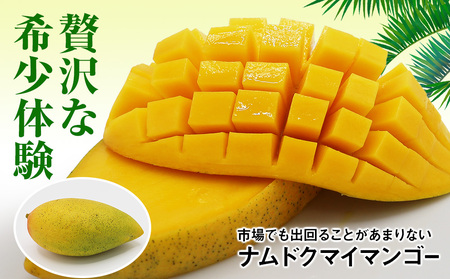 南国の果物　沖縄県産マンゴー　ナムドクマイ　1kg