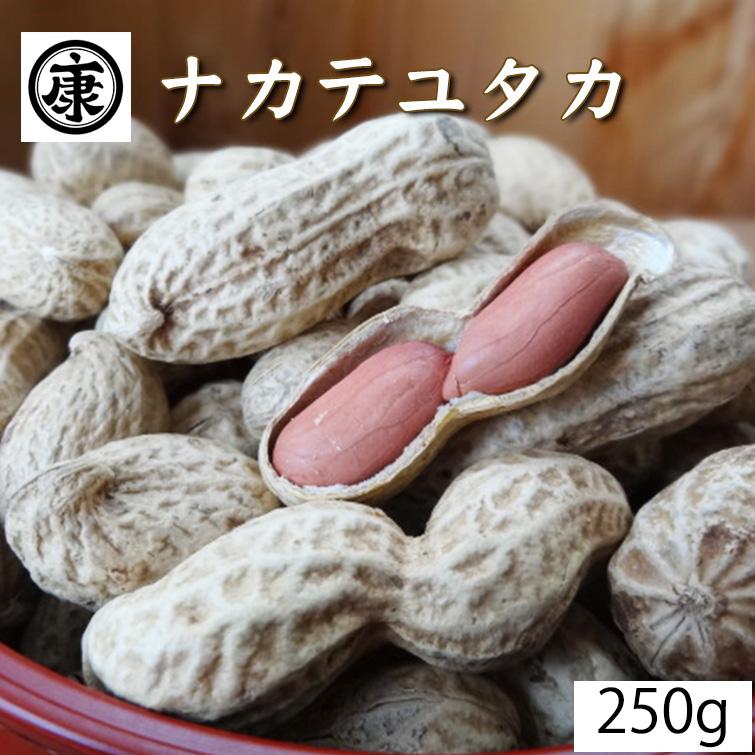 令和5年産新豆 千葉県産 落花生 ナカテユタカ 殻付き 250g（250g×1袋）