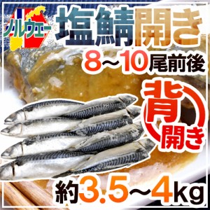 ノルウェー ”塩鯖開き” 8～10尾前後 約3.5～4kg 背開き 塩サバ 送料無料