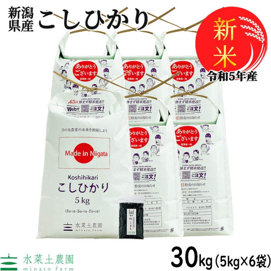 新米 お米 米 米30kg （5kg×6袋） こしひかり 精米 白米 令和5年産 新潟県産 古代米お試し袋付き