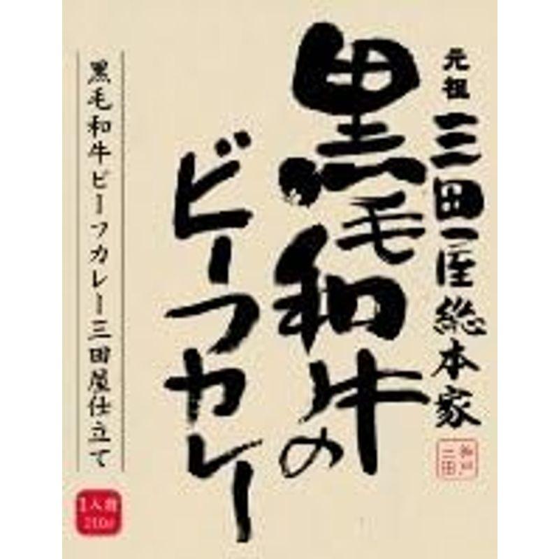 黒毛和牛のビーフカレー 三田屋仕立て 210g×10個