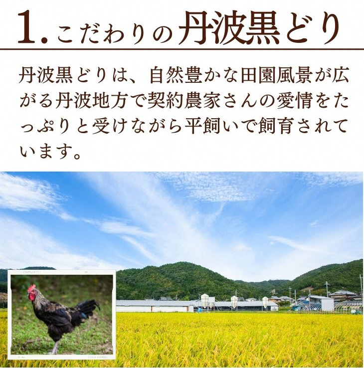 地鶏 丹波黒どり 手羽元 4kg＜京都亀岡丹波山本＞500g ×8パック 冷凍限定《特別返礼品 鶏肉 小分け》