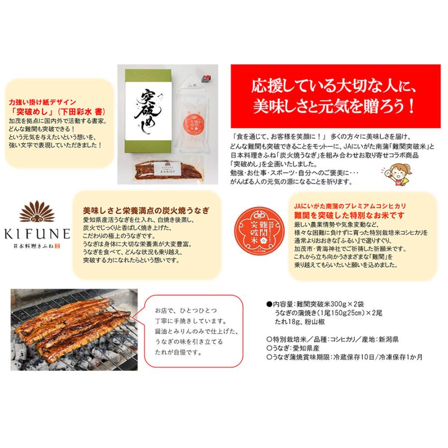 突破めし！うなぎ蒲焼とお米セット（一人前）