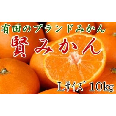 ふるさと納税 和歌山県 有田川町  [秀品]有田のブランド「賢みかん」10kg(Lサイズ)