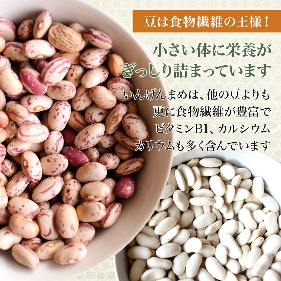 手亡豆 500グラム 令和4年収穫 北海道産  手亡 いんげん豆 インゲン豆 いんげんまめ インゲンマメ 白いんげん豆 白インゲン豆 白いんげんまめ