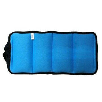【立群】醫霸器材 3kg 沙包型加重器 沙袋 運動健身 淡藍色
