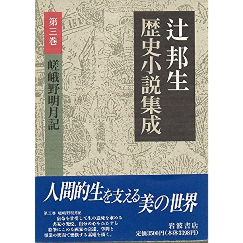 嵯峨野明月記 (辻邦生歴史小説集成 第3巻)