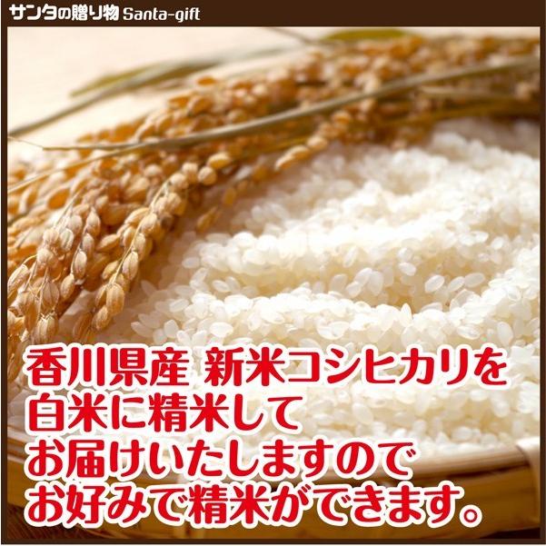 10kg 新米 香川県産 コシヒカリ 令和4年産 白米 お得 送料無料 長期保存