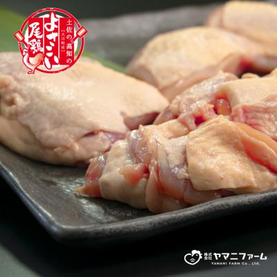 ふるさと納税 大月町 よさこい尾鶏 もも肉角切り(300g)×3パック