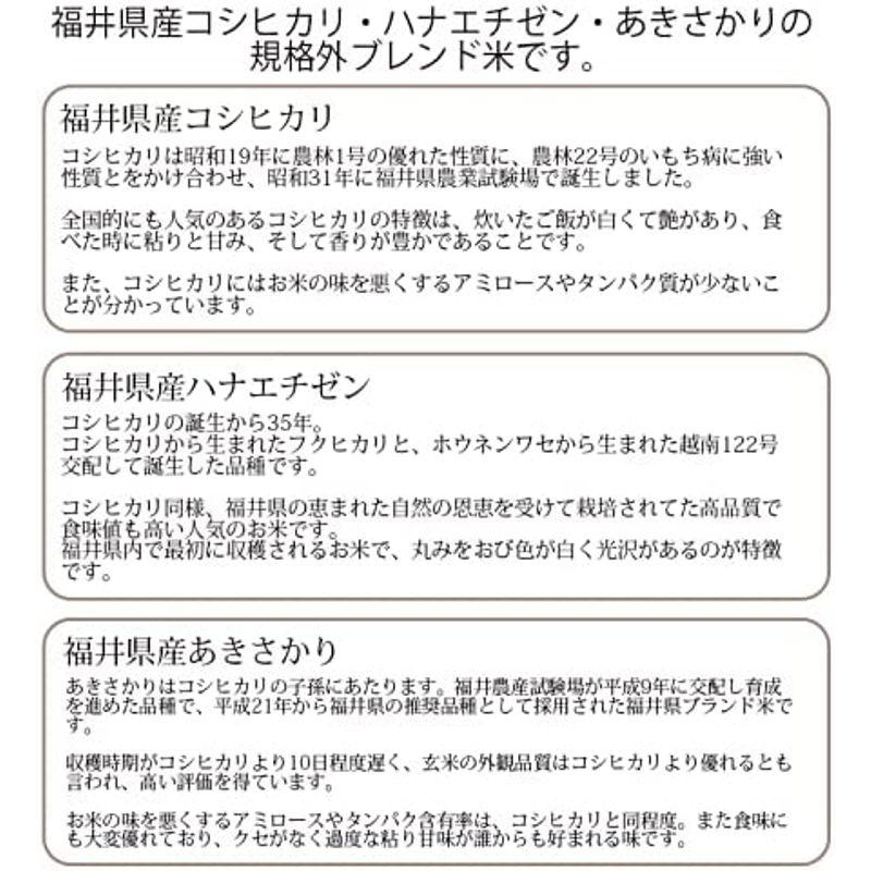 精米福井県産福井米 白米 令和3年産 (30kg)