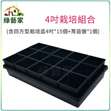 【綠藝家】4吋栽培組合(含四方型栽培盆4吋黑色*15個+育苗盤*1個)