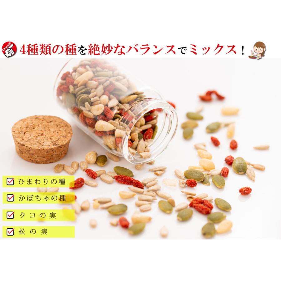 元気のタネ 4種 ミックスナッツ おつまみ 1kg（500g×2個） うす塩味（ ひまわりの種 かぼちゃの種 クコの実 松の実 ） ナッツミックス 塩味 無添加 砂糖不使用