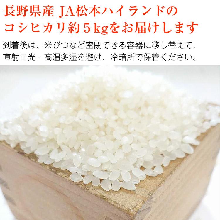 コシヒカリ 長野県産 5kg 一等米 産地直送 米 お米 送料無料 常温便 同梱不可 指定日不可 お取り寄せグルメ 食品 産直