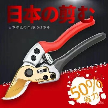 日本鋼樹枝剪刀枝條剪樹剪子果樹剪修枝剪果樹剪刀花草家用粗枝剪 XMOS