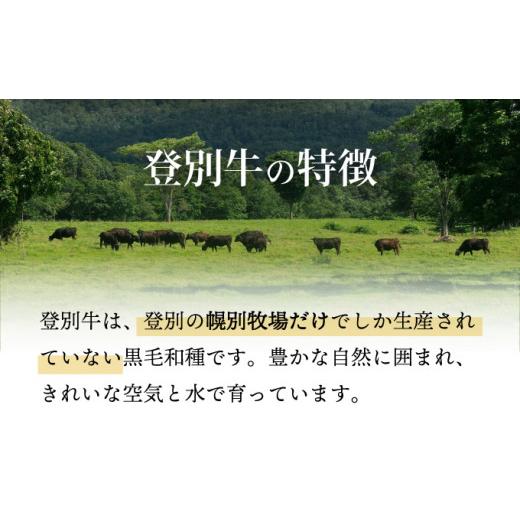 ふるさと納税 北海道 登別市 登別牛サーロインステーキ肉400g（200g×2枚）