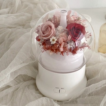 【Flora Flower】芙蘿拉永生花水氧機禮盒組-紅粉(送禮神器) 贈香氛精油5ml一瓶