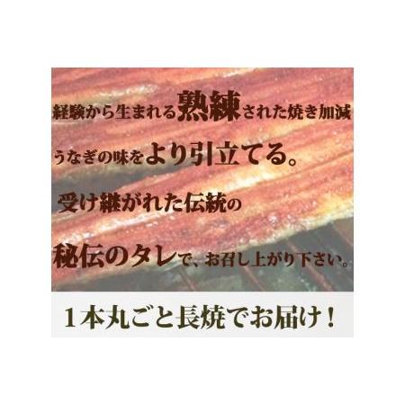 ふるさと納税 大型サイズふっくら柔らか国産うなぎ蒲焼き 約2人前 和歌山県由良町