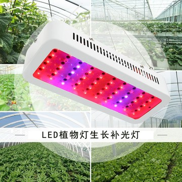 免運 可開票 生長燈 植物生長燈 補光燈 燈管 LED大棚植物燈陽臺種菜補光燈火龍果花卉上色多肉葡萄草莓補光用