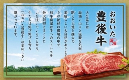 豊後牛 サーロイン ステーキ 400g (200g×2) 牛肉