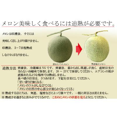 ふるさと納税 富良野市 2024年発送 富良野メロン　3Lサイズ(2kg)赤肉 2玉入り 計4kg