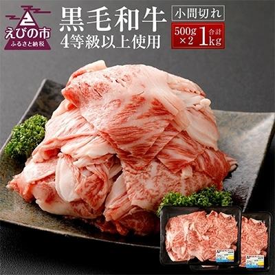 ふるさと納税 えびの市 　黒毛和牛4等級以上使用　小間切れ500g×2P