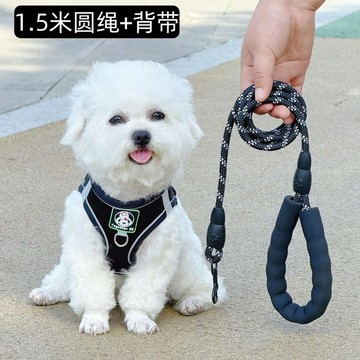 💕在臺出貨🔥背心式小型犬狗狗牽引繩比熊泰迪博美小狗幼犬夏季網眼透氣胸揹帶