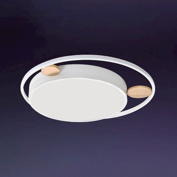 65W 三色變光吸頂燈 B102-13-6422A