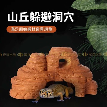 宏洋水族【NOMO🦎山丘躲避洞穴】爬蟲躲避洞 洞穴 守宮屋 躲藏 躲避屋 爬蟲 蜥蜴 蠍子 蛇 爬寵 守宮 躲避洞 陸龜