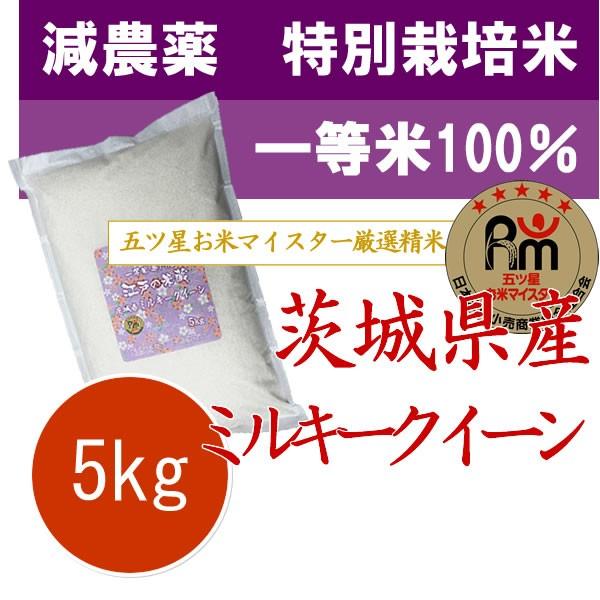 お米 5kg 新米 令和5年産 茨城県産 ミルキークィーン 5kg 特別栽培米 (減農薬米・減化学肥料米) 一等米 100%