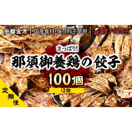 ふるさと納税 『定期便』宇都宮餃子　那須御養鶏の餃子100個　保存料不使用　全12回 栃木県宇都宮市