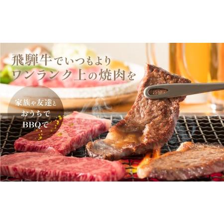 ふるさと納税 A5等級 飛騨牛 焼肉 4種食べ比べ 600ｇ ≪冷凍≫ 化粧箱入 ブランド牛 国産 霜降 焼肉セット A5等級 のし対応不可 肉の匠家 TR4389.. 岐阜県高山市