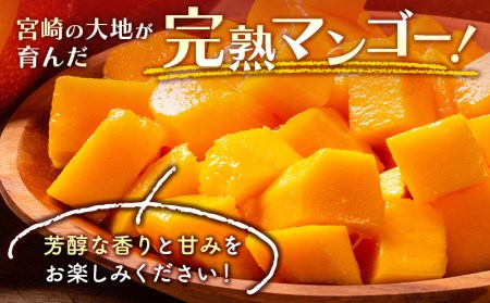 「訳あり」マンゴー 宮崎県産完熟マンゴー1.5ｋｇ（3玉～5玉）