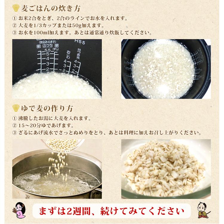 国産 ビタ白麦 800g 6入り 健康 腸活 免疫 ダイエット  食物繊維 米と炊飯 スープ）麦飯 麦ご飯 麦 大麦ご飯 ビタ白麦800g 6袋 家康 お得 セット