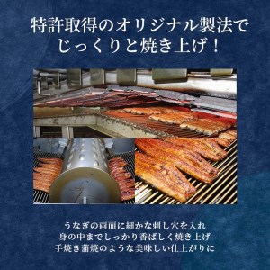 国産 鰻 うなぎ 特大 2尾 ギフト セット 蒲焼 うな丼 うな重 ひつまぶし 土用 丑の日 （ うなぎ 鰻 特大うなぎ うなぎ2尾 うなぎセット うなぎ蒲焼き 国産うなぎ 国産鰻 鰻蒲焼 FN-SupportProject ひつまぶし うなぎ  FN-SupportProject 丑の日 FN-SupportProject うなぎ 年末企画 鰻 FN-SupportProject 静岡 年末企画 ）