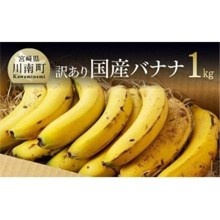 ふるさと納税 国産バナナ1kg（10本〜13本程度） 宮崎県川南町