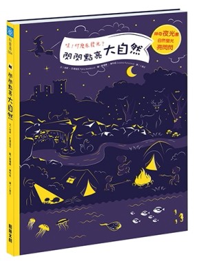 閃閃點亮大自然[二手書_良好]