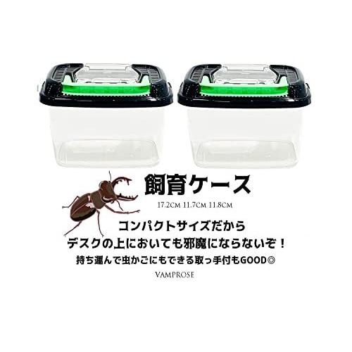 昆虫すごいぜ！ カブトムシ＆クワガタ 飼育 セット 【 ☆ブラック