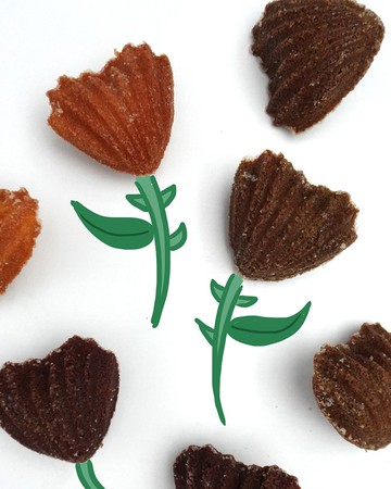 【desertLAND】沙漠玫瑰瑪德蓮禮盒 (8入)