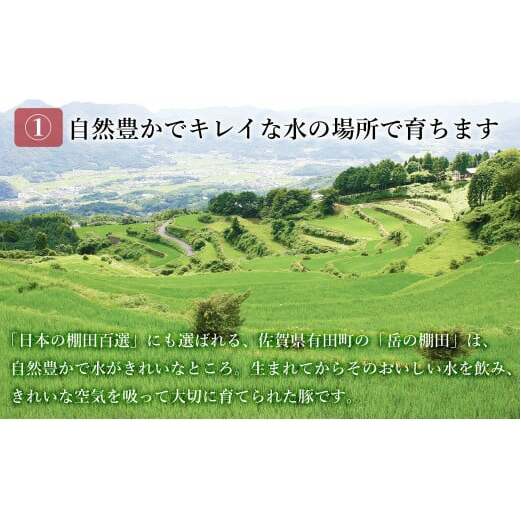 N160-1  ありたぶた バラエティAセット (豚肉6種) 12回 定期便 小分け 真空パック 豚肉 ロース バラ ウインナー ソーセージ ハンバーグ