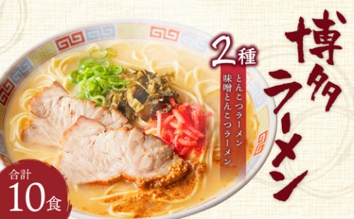 博多ラーメン 10食入り 豚骨 ラーメン 半生極細ストレート麺