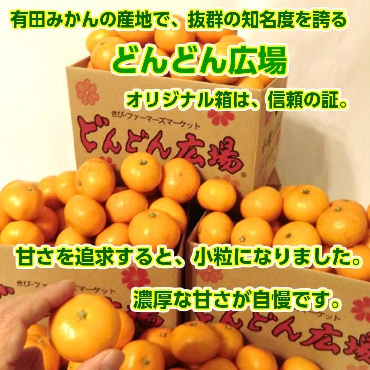 みかん 10kg 送料無料 訳あり 小粒くん 有田みかん 果物 おいしい 小玉 和歌山直送 産地直送 ミカン 甘い お買い得 ご自宅用