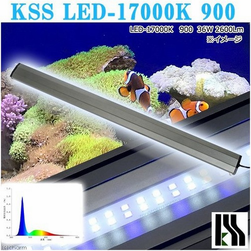 興和 ｋｓｓ ｌｅｄ １７０００ｋ ９００ ９０ １００ｃｍ水槽用 ライト 熱帯魚 沖縄別途送料 アクアリウムライト 通販 Lineポイント最大0 5 Get Lineショッピング