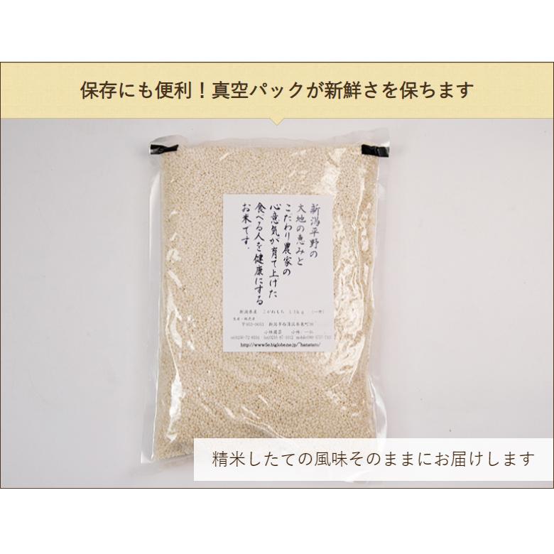 新潟産こがねもち（もち米）精米1.5kg 小林園芸 送料無料