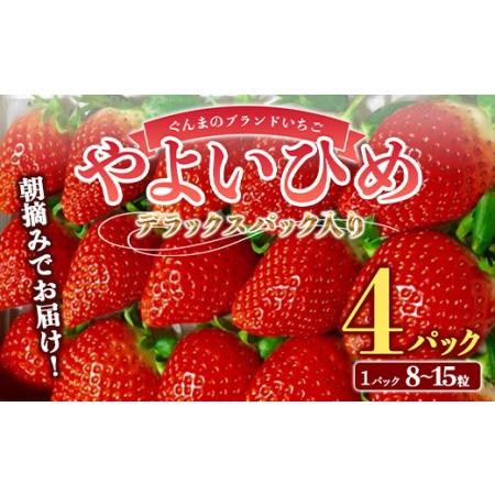 ふるさと納税 朝摘みでお届け！ぐんまのブランドいちご「やよいひめ」 デラックスパック入り大粒 4パック イチゴ 苺 期間限定 フルーツ 果物 F4H.. 群馬県渋川市