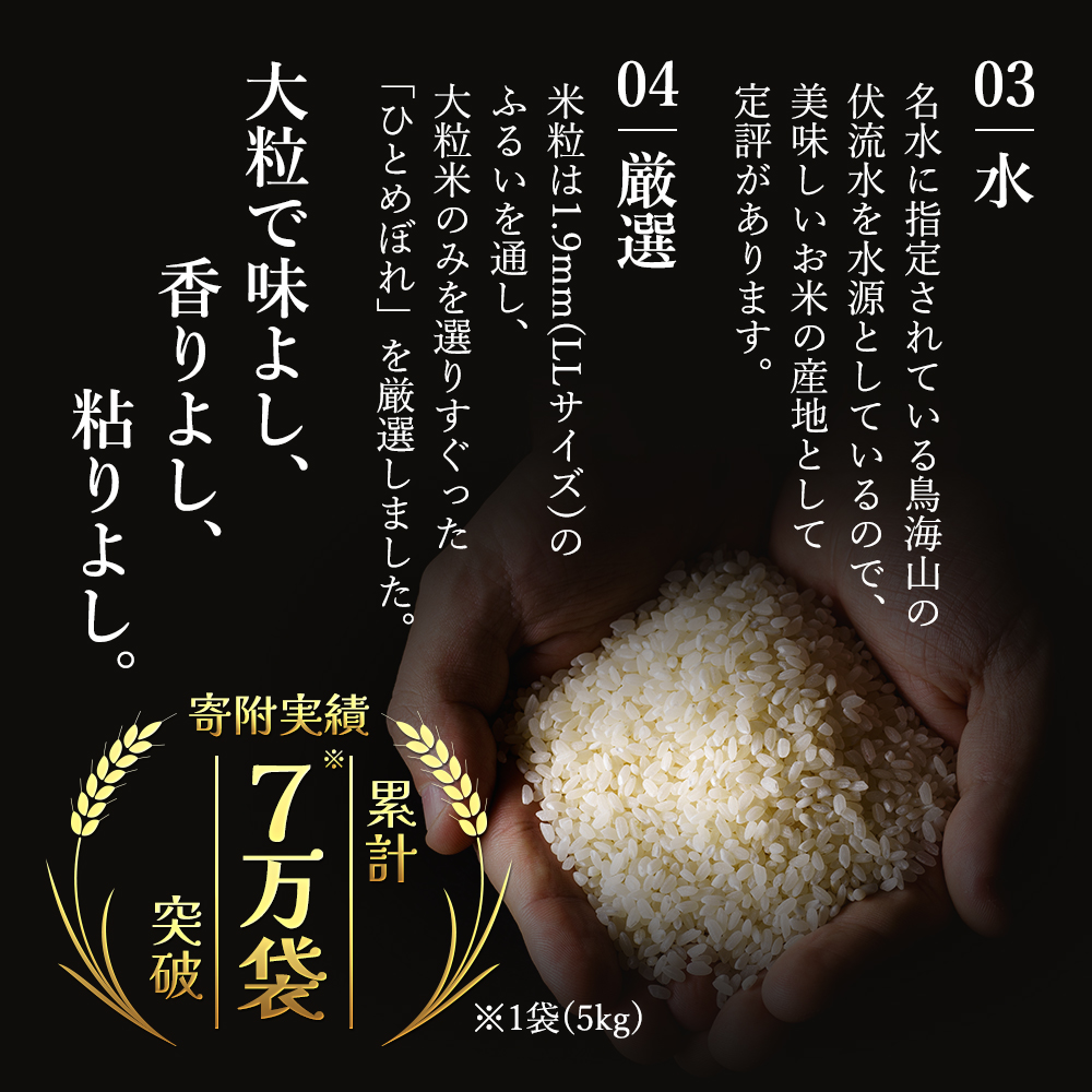 〈定期便〉 ひとめぼれ 白米 10kg（5kg×2袋）×6回 計60kg 6ヶ月 令和5年 精米 土づくり実証米 毎年11月より 新米 出荷