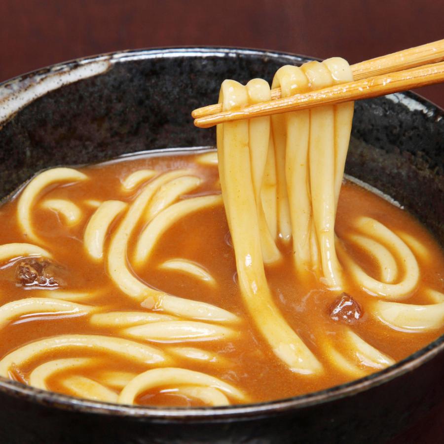 ＼ ギフトあったかうどん ／ 小豆島　冷凍手延べうどんカレーうどん入　具材付4種×2食セット　送料無料