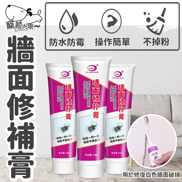 【台灣出貨】牆面修補膏｜牆壁裂縫修補劑｜多功能牆面修復膏｜免刷漆裂縫填補膏｜牆面修補神器｜居家修繕補土膏
