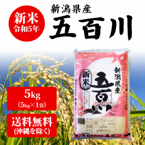  新潟県産 五百川 5kg （5kg×1袋） 米 5キロ 送料無料 お米 新米 5kg 安い 産地直送